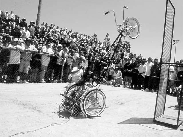 Crazy custom  bicycles - 15 sur 16