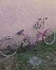 'Le Fusion