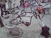Fête du Velo - Paris - 7 juin 2008