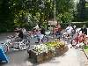 Cruise In Strabourg - Strasbourg - 10 aout 2008 