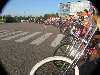 European Custom Bike Contest - Strasbourg - 30 et 31 aout 2008