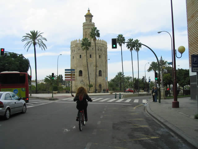 1er ruta custom sevilla - Sevilla (espagne) - 01 novembre 2008   - 17 sur 27