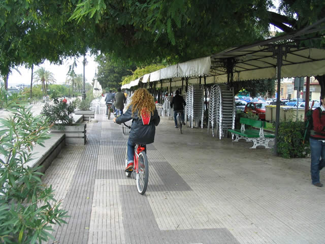 1er ruta custom sevilla - Sevilla (espagne) - 01 novembre 2008   - 16 sur 27