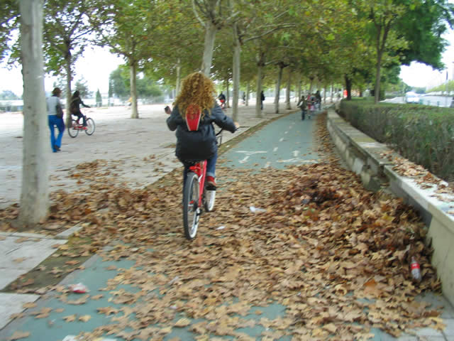 1er ruta custom sevilla - Sevilla (espagne) - 01 novembre 2008   - 8 sur 27