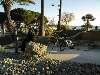 Le ride du sud - Fréjus - 7 decembre 2008