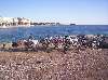 Le ride du sud - Fréjus - 7 decembre 2008