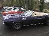 MOPAR Pic-nic - Brunoy - 29 Mars 2009