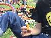 PIC-NIC Cruise - Paris - 20 septembre 2009