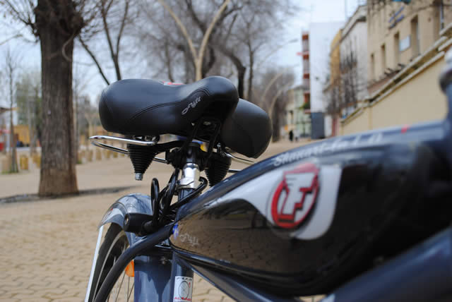 3ª ruta custom bike SEVILLA 2010 - Seville, Espagne - 27 février 2010 - 192 sur 310