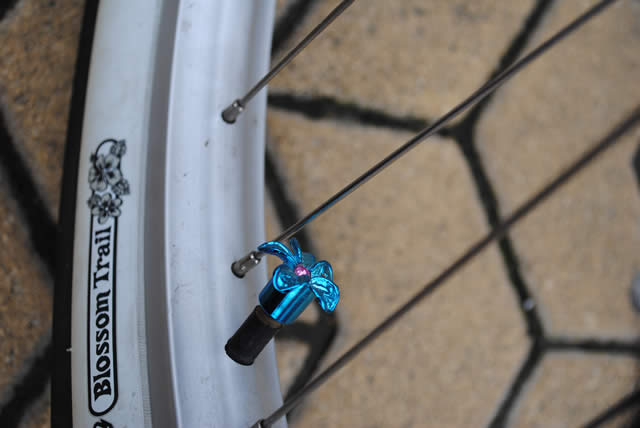 3ª ruta custom bike SEVILLA 2010 - Seville, Espagne - 27 février 2010 - 144 sur 310