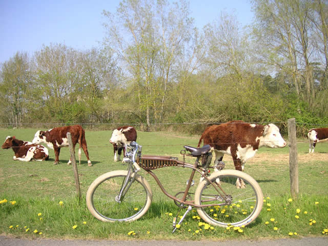 Birthday Cruise - Angers - 18 avril 2010 - 67 sur 98