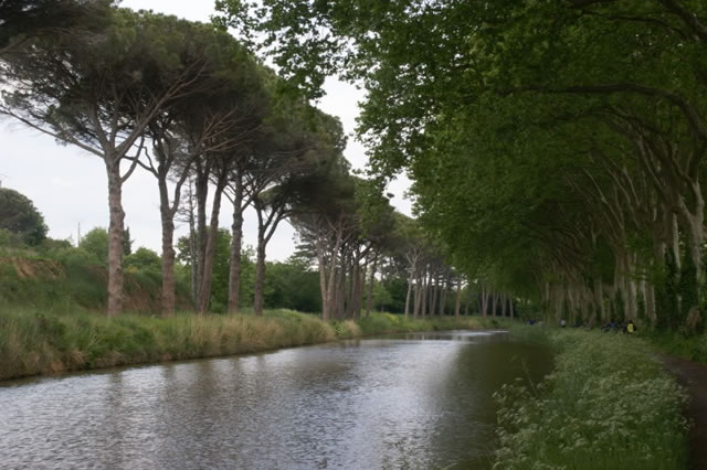 TOULOUSE > AGDE 240 km - 13 mai 2010 - 118 sur 260