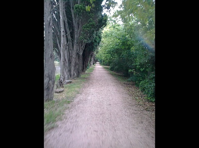 TOULOUSE > AGDE 240 km - 13 mai 2010 - 7 sur 260
