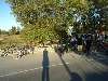 LR33: Bordeaux/Maubuisson - 1 et 2 octobre 2011