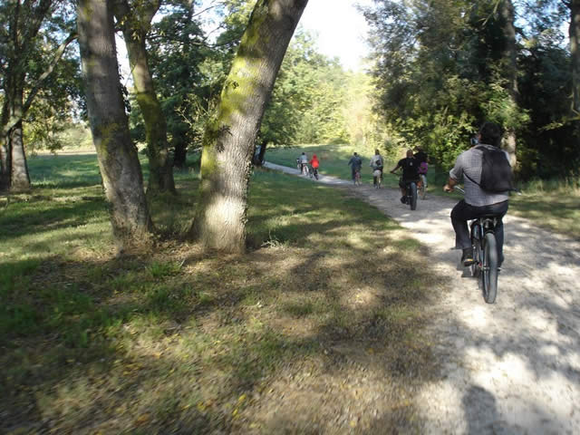 Ride L.A Cycles - Toulouse - 23 octobre 2011 - 22 sur 72