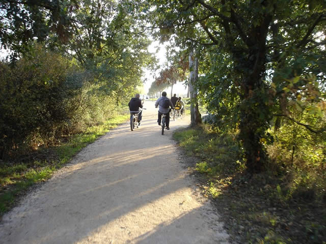 Ride L.A Cycles - Toulouse - 23 octobre 2011 - 11 sur 72