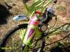 Le Vélosolexiraptor - 2005