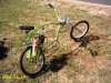 Le Vélosolexiraptor - 2005