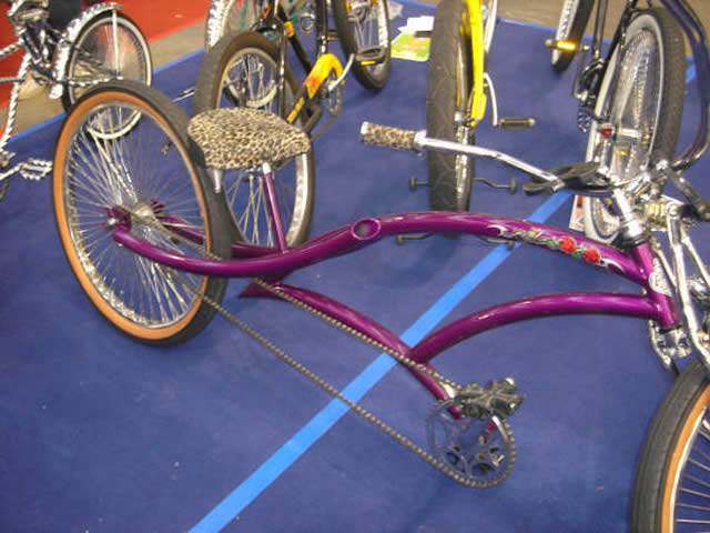 Malines - Concours international de lowrider bikes 2005 organisé par Doggriderz - 39 sur 56