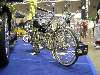 Malines - Concours international de lowrider bikes 2005 organisé par Doggriderz