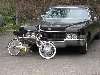MOPAR Pic-nic - Brunoy - 25 Mars 2007
